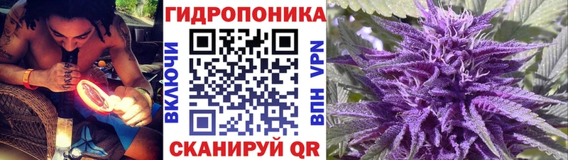 Купить наркотики Чердынь Каннабис  БУТИРАТ  Гашиш  Меф мяу мяу  OMG рабочий сайт  A-PVP 
