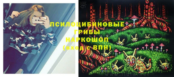хмурый Волосово