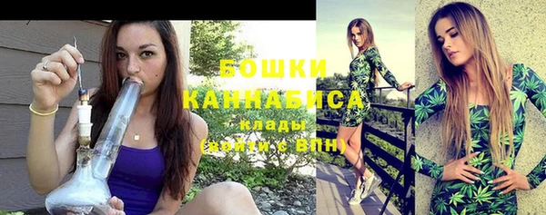 шишки Володарск