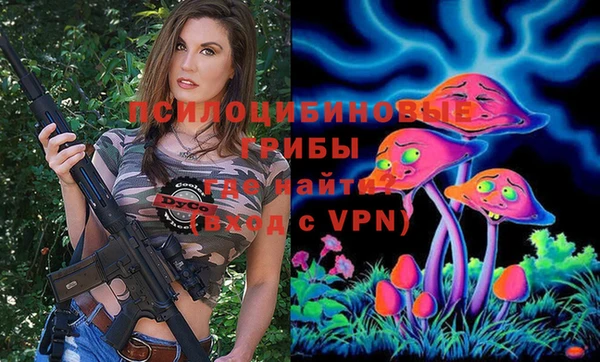 хмурый Волосово