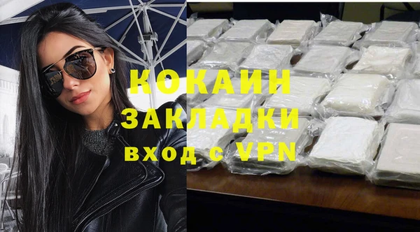шишки Володарск