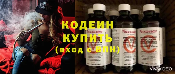 шишки Володарск