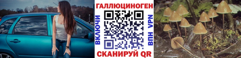 Галлюциногенные грибы GOLDEN TEACHER  MEGA как войти  Чердынь 